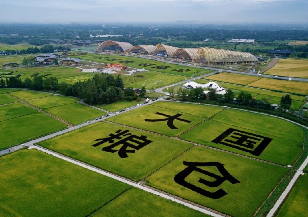 xia93288368's tweet photo. 今天是第五个“中国农民丰收节”

希望的田野，丰收的中国！

祝全国农民朋友和“三农”战线的同志们，节日快乐！ https://t.co/h16vWdwyZS