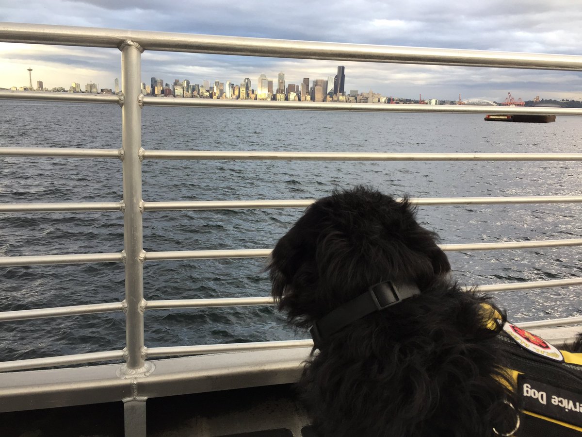 I have not flown since two weeks before the pandemic started. Would love to fly in to SeaTac and take a service dog in training to a game and then off to Beechers for the worlds best Mac and Cheese! #HappyFlightSweepstakes