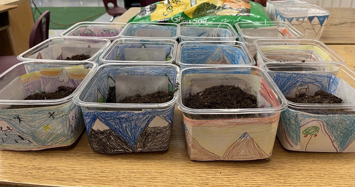 Nestled in the shadows of the Trader Joe’s Mountains is the freshly planted Peppermint Valley.  Our knowledge or regions and landforms is growing….and love for old fashioned graham crackers is undying! ⁦<a href="/vanaldenavees/">Vanalden Avenue Elementary</a>⁩ ⁦<a href="/LASchools/">Los Angeles Unified</a>⁩ #TraderJoes #LAUSD