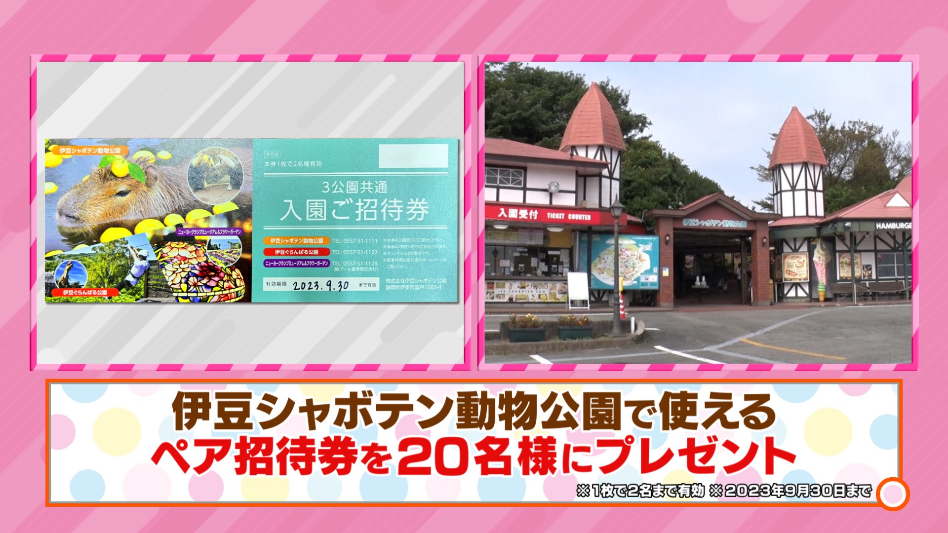 ついに再販開始！】 ニューヨークランプミュージアム フラワーガーデン 全日招待券４枚