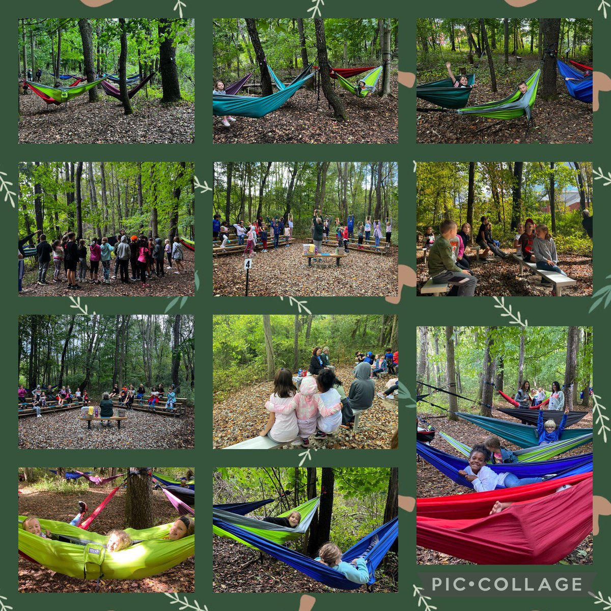 Deidre Hichens tweet media