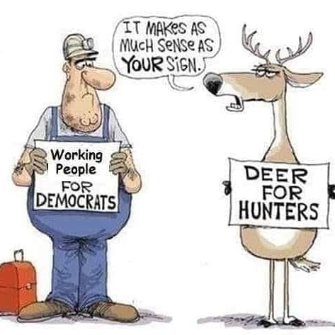 Ray Napier tweet media