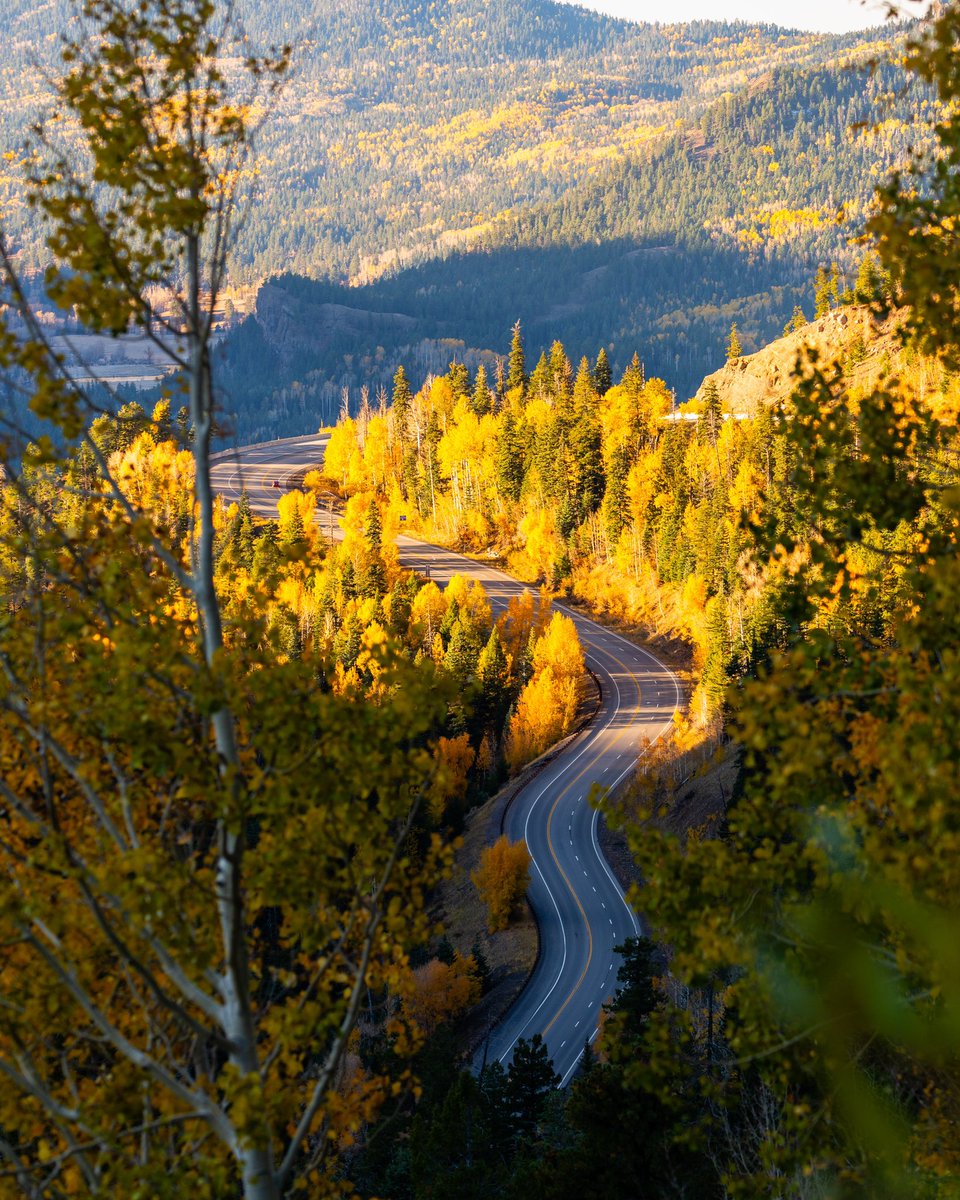 Fr33Water's tweet photo. Hello, Fall …how’s your day going?! #FirstDayOfFall #fall2022 #FallEquinox #fallvibes #colorfulcolorado #fallincolorado #fallinthemountains https://t.co/pJSbwrIhlB
