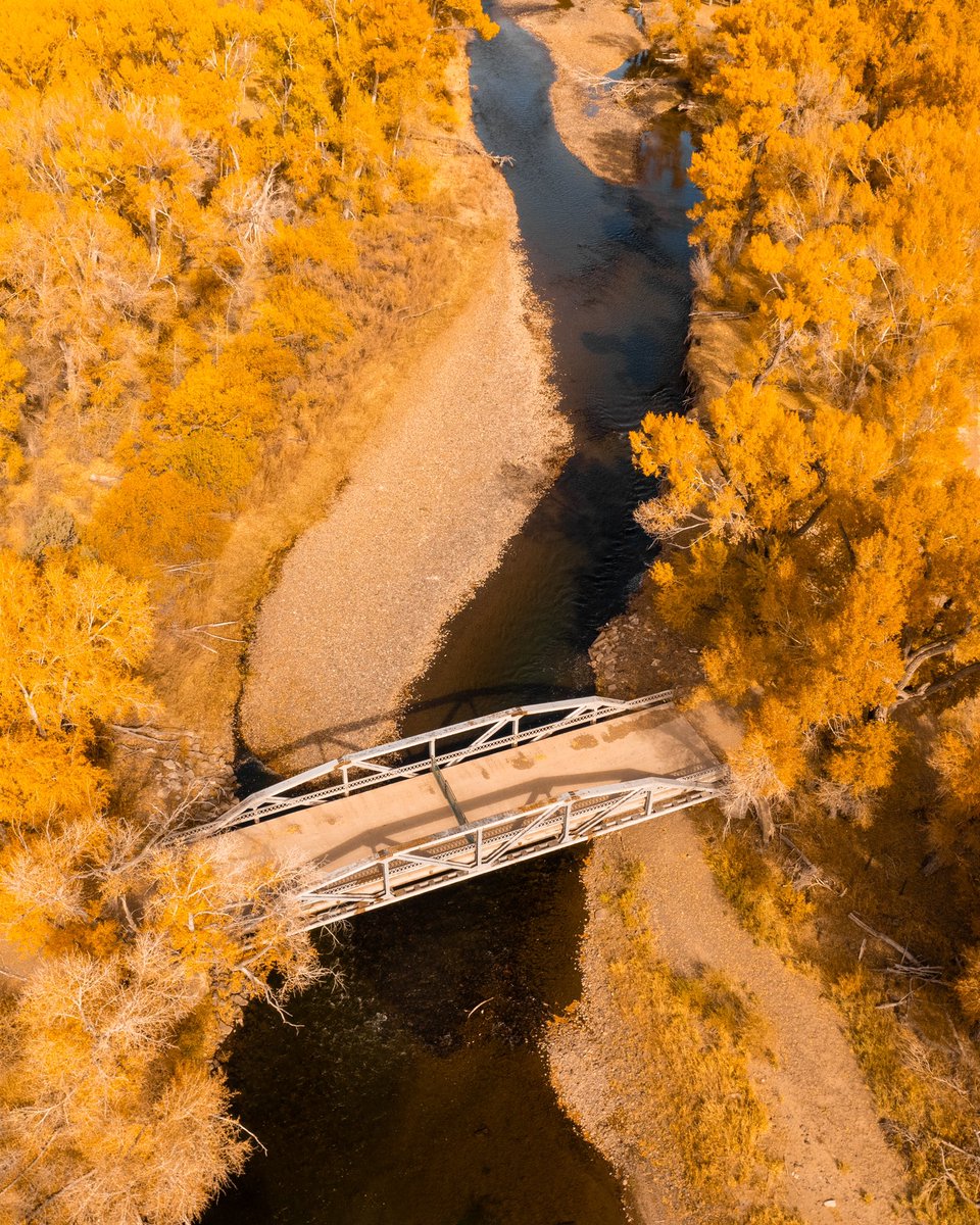 Fr33Water's tweet photo. Hello, Fall …how’s your day going?! #FirstDayOfFall #fall2022 #FallEquinox #fallvibes #colorfulcolorado #fallincolorado #fallinthemountains https://t.co/pJSbwrIhlB