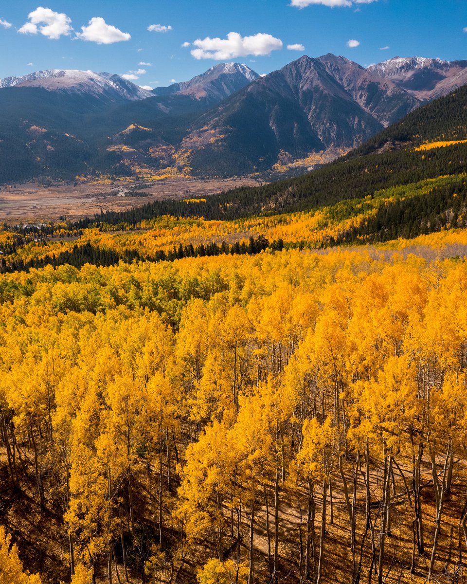 Fr33Water's tweet photo. Hello, Fall …how’s your day going?! #FirstDayOfFall #fall2022 #FallEquinox #fallvibes #colorfulcolorado #fallincolorado #fallinthemountains https://t.co/pJSbwrIhlB