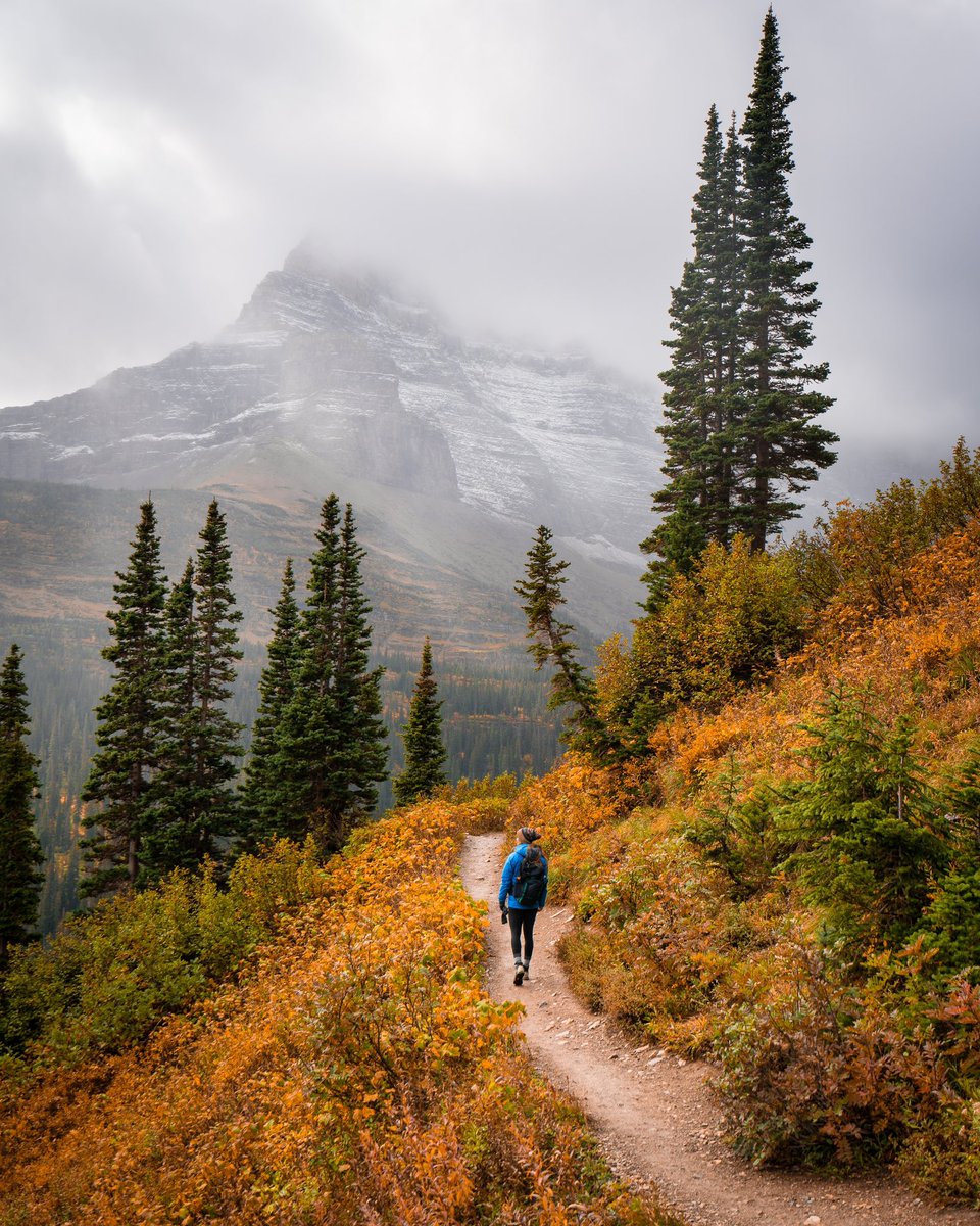 Fr33Water's tweet photo. Hello, Fall …how’s your day going?! #FirstDayOfFall #fall2022 #FallEquinox #fallvibes #colorfulcolorado #fallincolorado #fallinthemountains https://t.co/pJSbwrIhlB