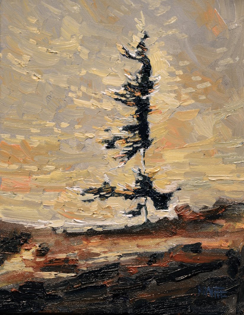 robertmcaffee's tweet photo. Pine at sunset 
10”x8” oil on canvas available https://t.co/xNr61kCxN6