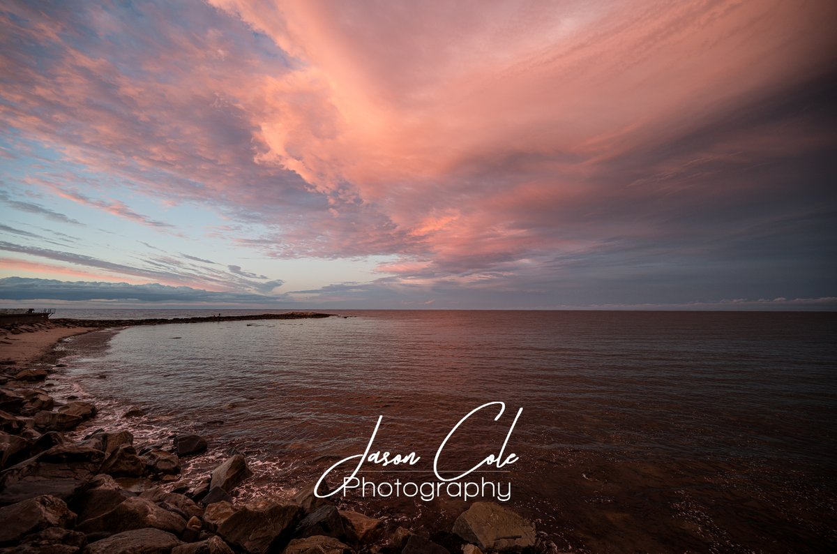 JasonColePhotos's tweet photo. After rain colors https://t.co/pXt4kZKF3I