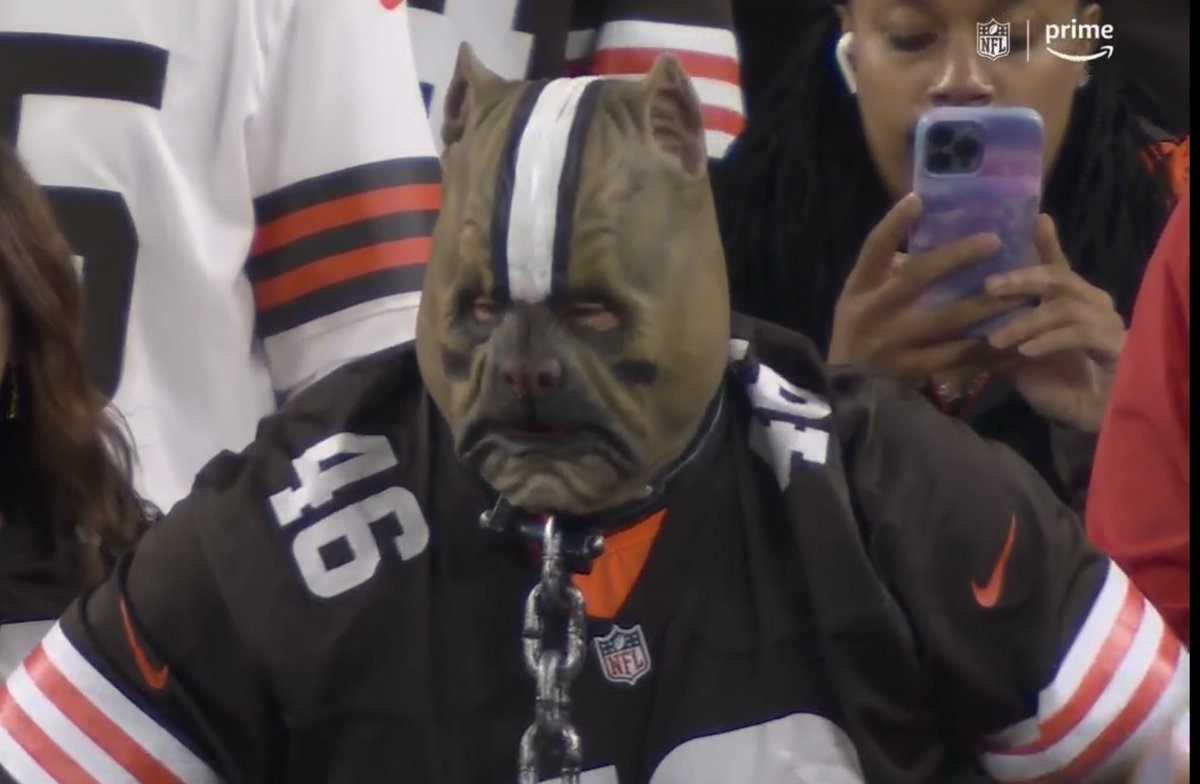 BarstoolBigCat's tweet photo. https://t.co/jqNcgCDqb9