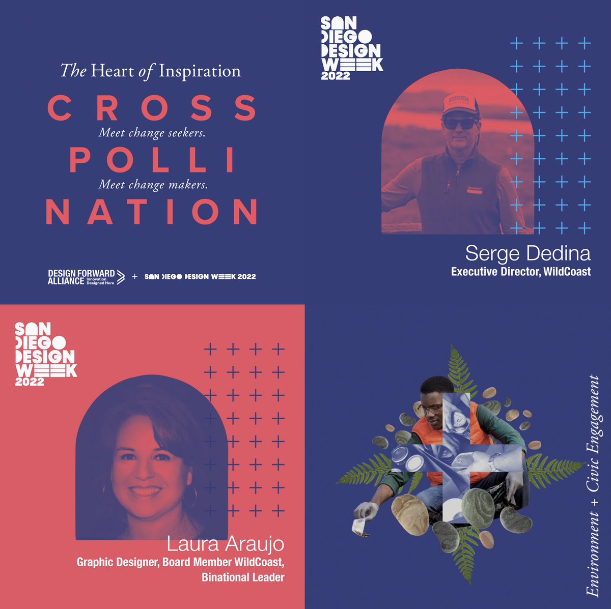 Laura Araujo tweet media