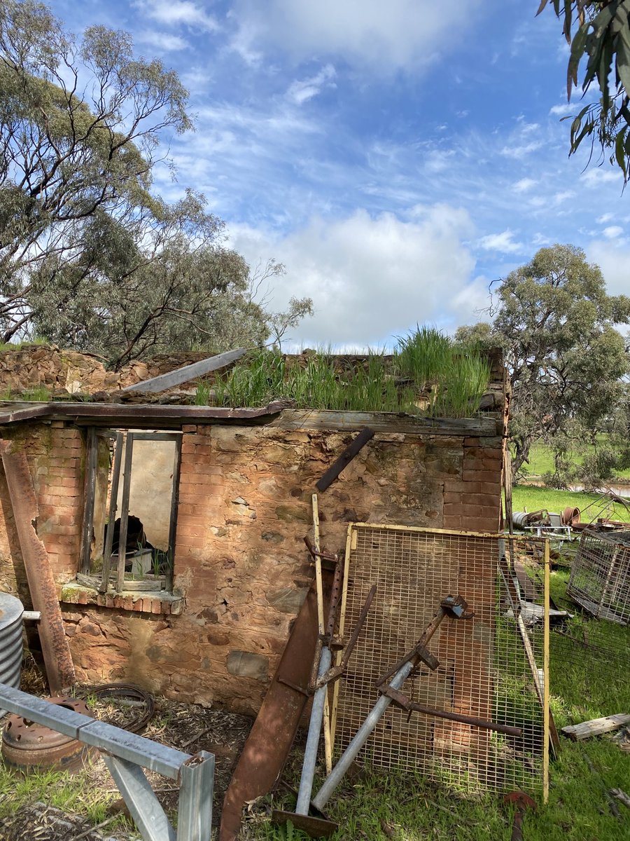 Jarred Tilley tweet media