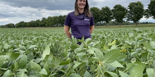 In this video, Natalie Hazeleger, <a href="/Sevita_Int/">Sevita International</a> national quality assurance manager, shares harvest tips to help growers meet the quality needs of #foodgradesoybean markets.

ow.ly/V3jo50KQKST

#cdnag #ontag #westcdnag