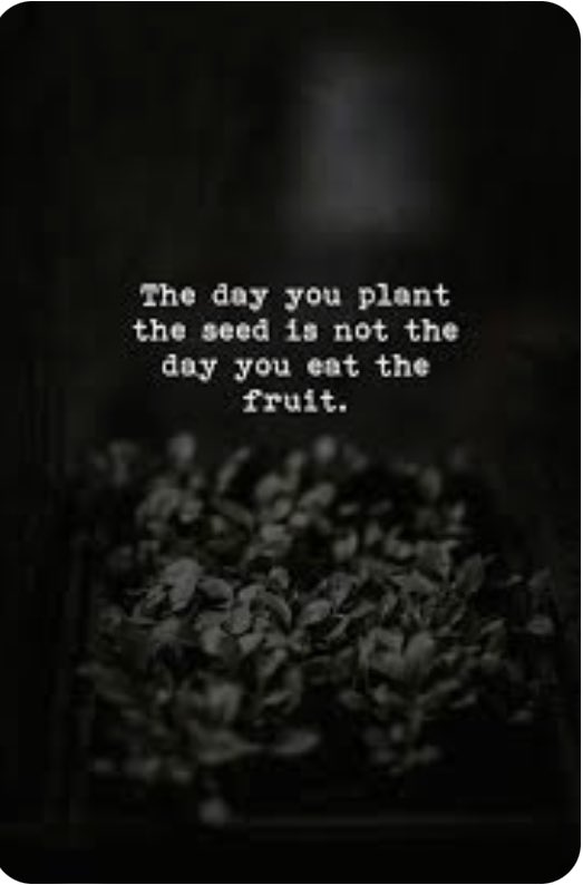 Alecr_24's tweet photo. Do the work, the result will come. https://t.co/hv8GxWowpd