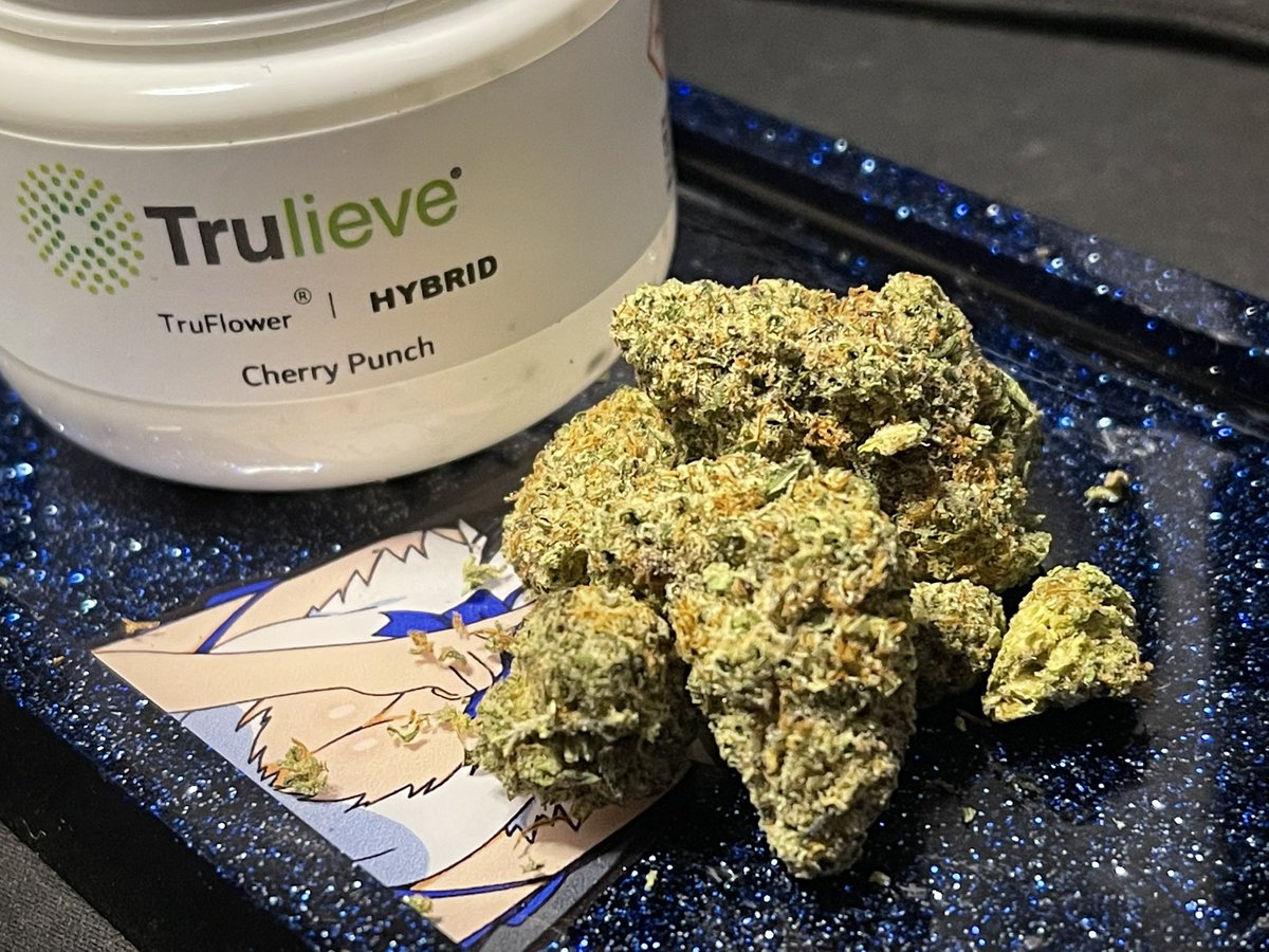 BrickellBud420's tweet photo. @Trulieve Cherry Punch 🍒 🥊 
⭐️⭐️⭐️⭐️
The extra CBD in this strain really helps when it’s 22.9%. Lots of 20+ can trigger but this one is smooth.

Tray - https://t.co/xsokfexfV9 https://t.co/QxxRHmySB2