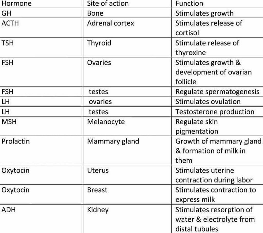 Innov_Medicine tweet picture