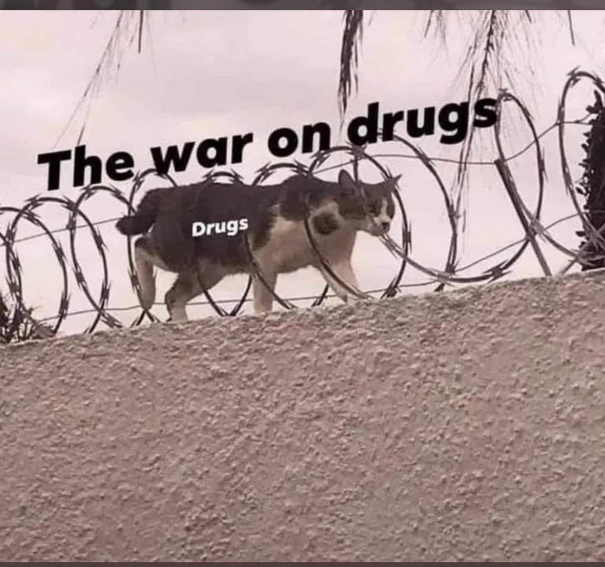 Baden Hicks (@baden_2002) on Twitter photo  Baden Hicks (@baden_2002) on Twitter photo