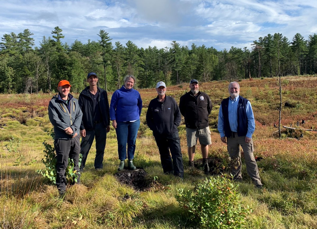 MassEEA's tweet photo. Today, @EEASecretary joined @MassDFG for a tour of the Birch Hill Wildlife Management Area, which was the site of a prescribed burn in 2021. A year later, there are oak & pitch pine woodlands, low-bush blueberries, & native grasslands. #MAClimateWeek https://t.co/htJHX0paCS https://t.co/bG88ofxYtW