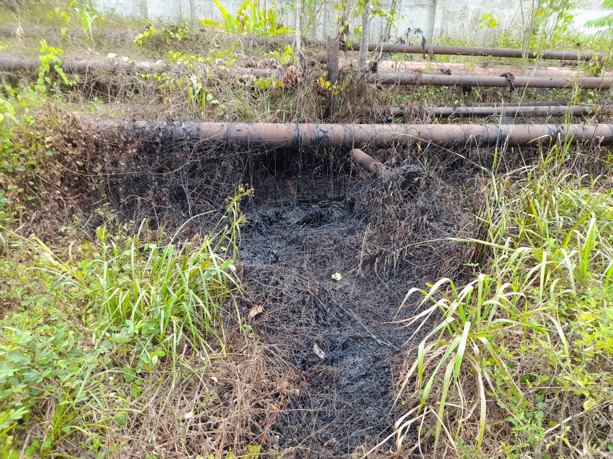 🚨 #ATENCIÓN Nuevo derrame de petróleo en #Loreto. La comunidad achuar Jose Olaya reporta el incidente en la batería Shiviyacu del #Lote192. El crudo ya ha llegado a la quebrada Manchari. #FECONACOR exige atención inmediata de autoridades ambientales <a href="/OEFAperu/">oefaperu</a> <a href="/Defensoria_Peru/">Defensoría del Pueblo</a> ⚠️