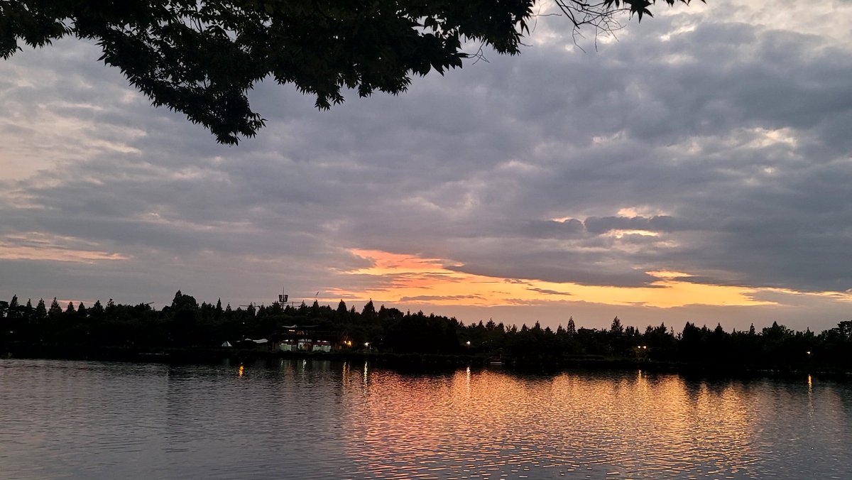 주홍맘 tweet media