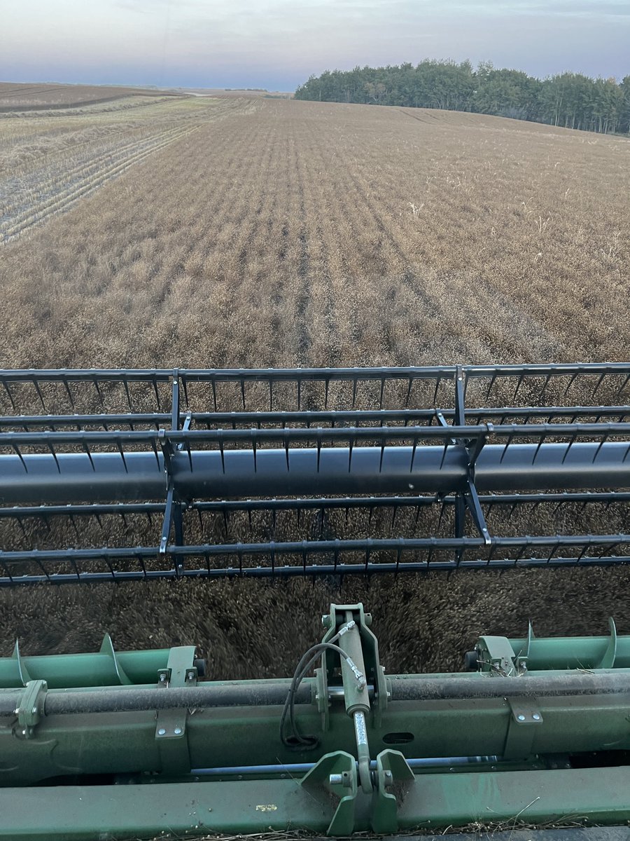 Last field going in the bin. Looking for an alternative crop in NE Alberta? How about Flax? Westlin 60. A great black soil zone flax. ⁦<a href="/ProvenSeed/">Proven Seed</a>⁩ ⁦<a href="/NutrienAgCda/">Nutrien Ag Solutions Canada</a>⁩