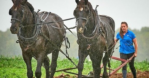 2022 International Plowing Match & Rural Expo tweet media