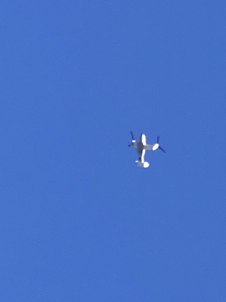 Jeremy P. Goldstein tweet media