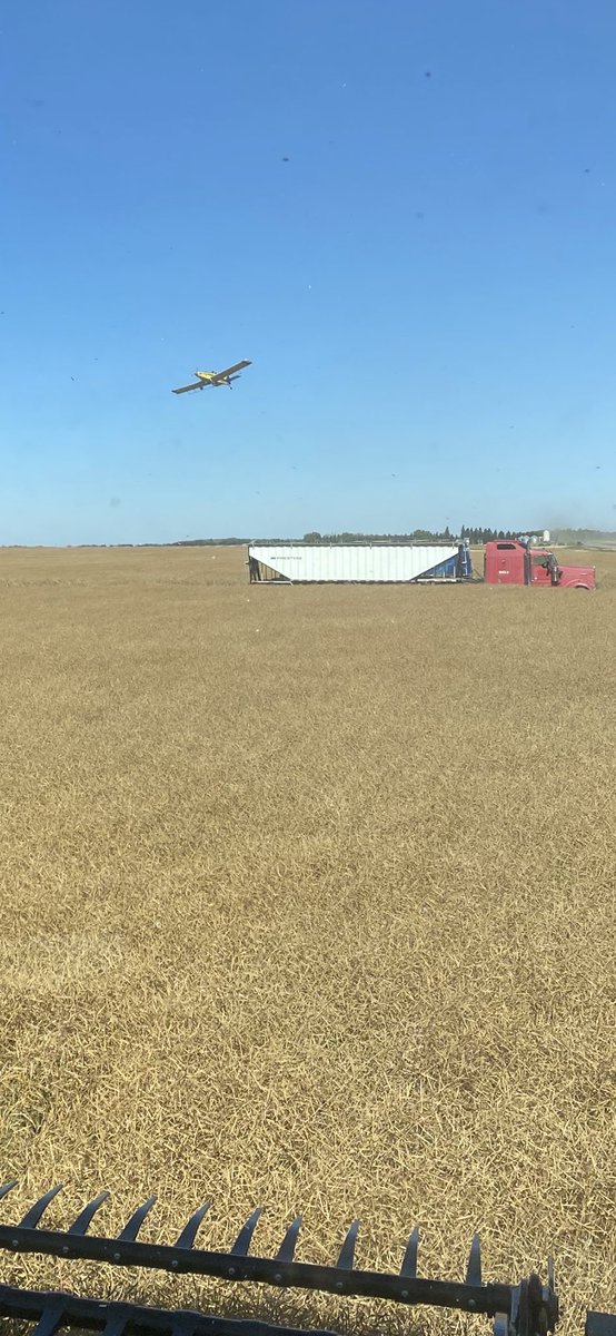 Gettin Buzzed by <a href="/wcaerial/">Western Canadian Aerial Ltd.</a>  makes the day “fly by”