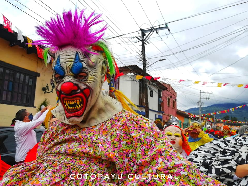 Cotopayú Cultural tweet media