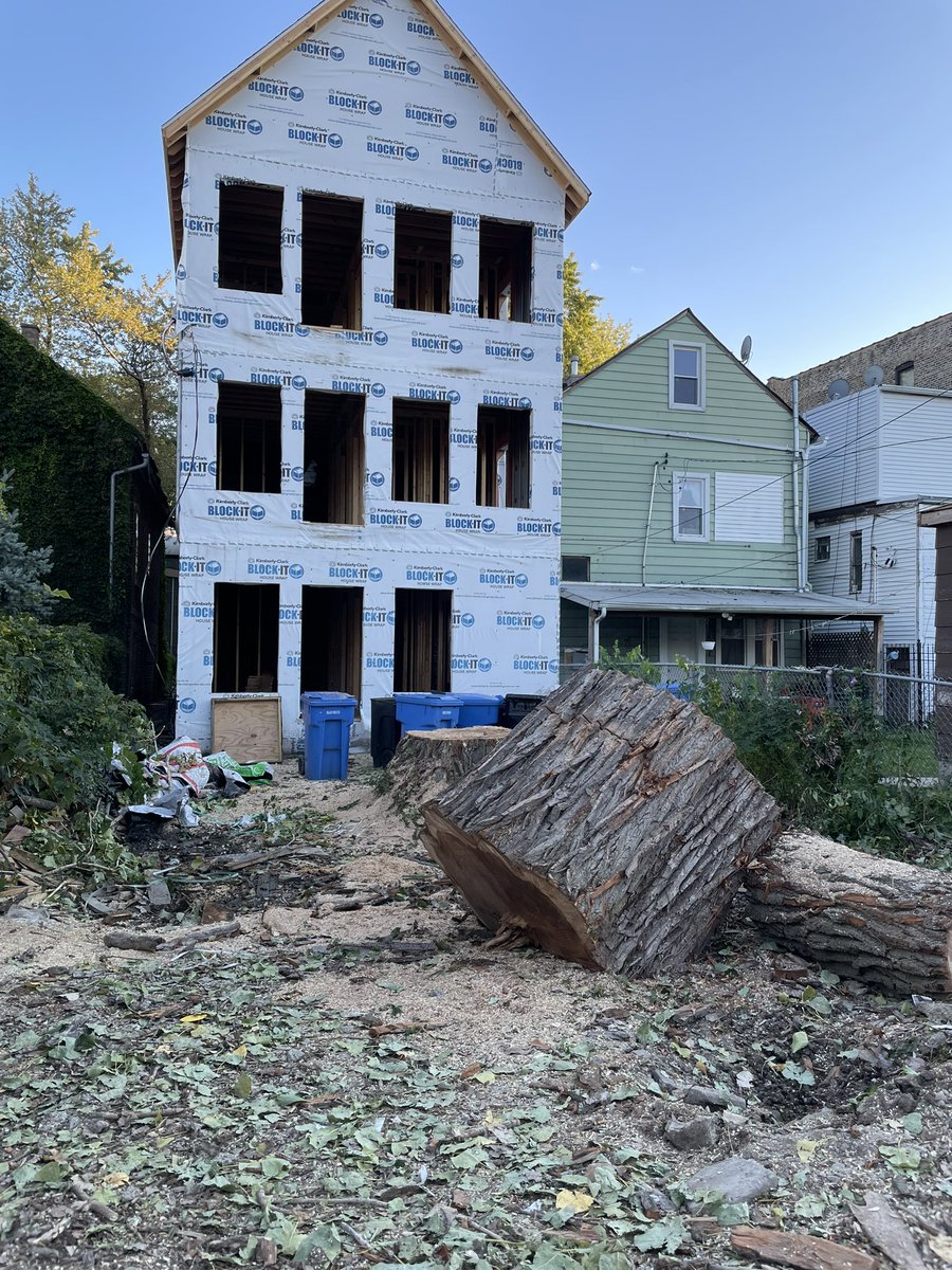 Frank McGovern - INACTIVE tweet media