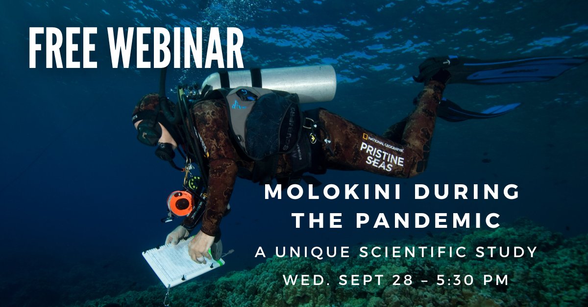 How did Molokini look when no boats or people were around during the pandemic? A small team of researchers had the opportunity to study there, and they'll be sharing some of their findings in our next Know Your Ocean Speaker Series. Register here: mauireefs.org/molokini-covid…