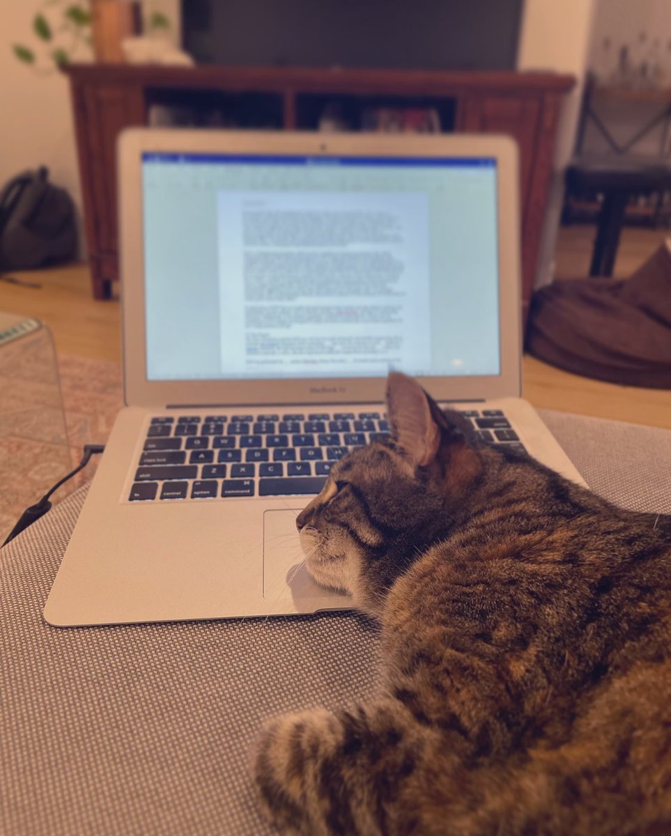 siparksmd's tweet photo. Purrcrastinating writing this case repurrt 😏🐾 https://t.co/iM5c8Juwv1