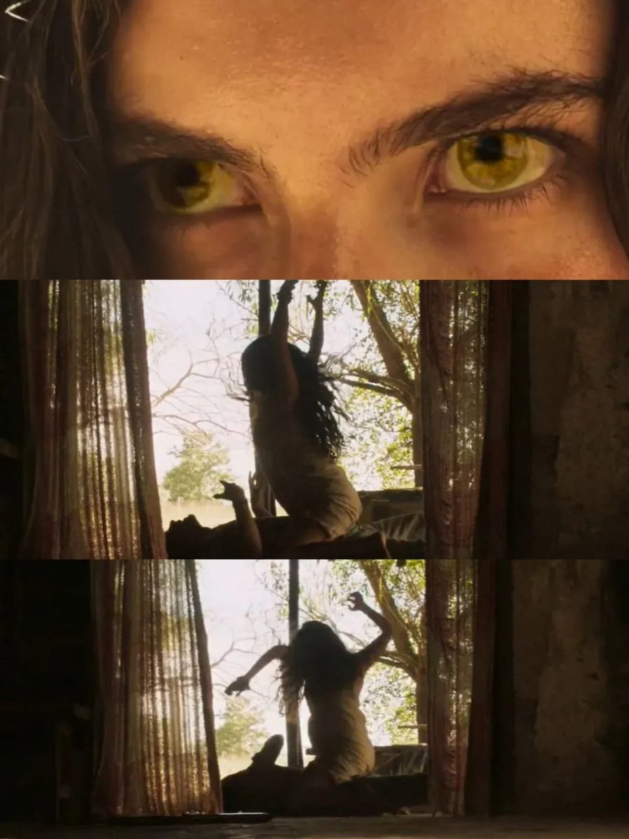 BuzzFeedBrasil's tweet photo. Isso aqui é ELITE. #Pantanal https://t.co/HbRrtuycaL