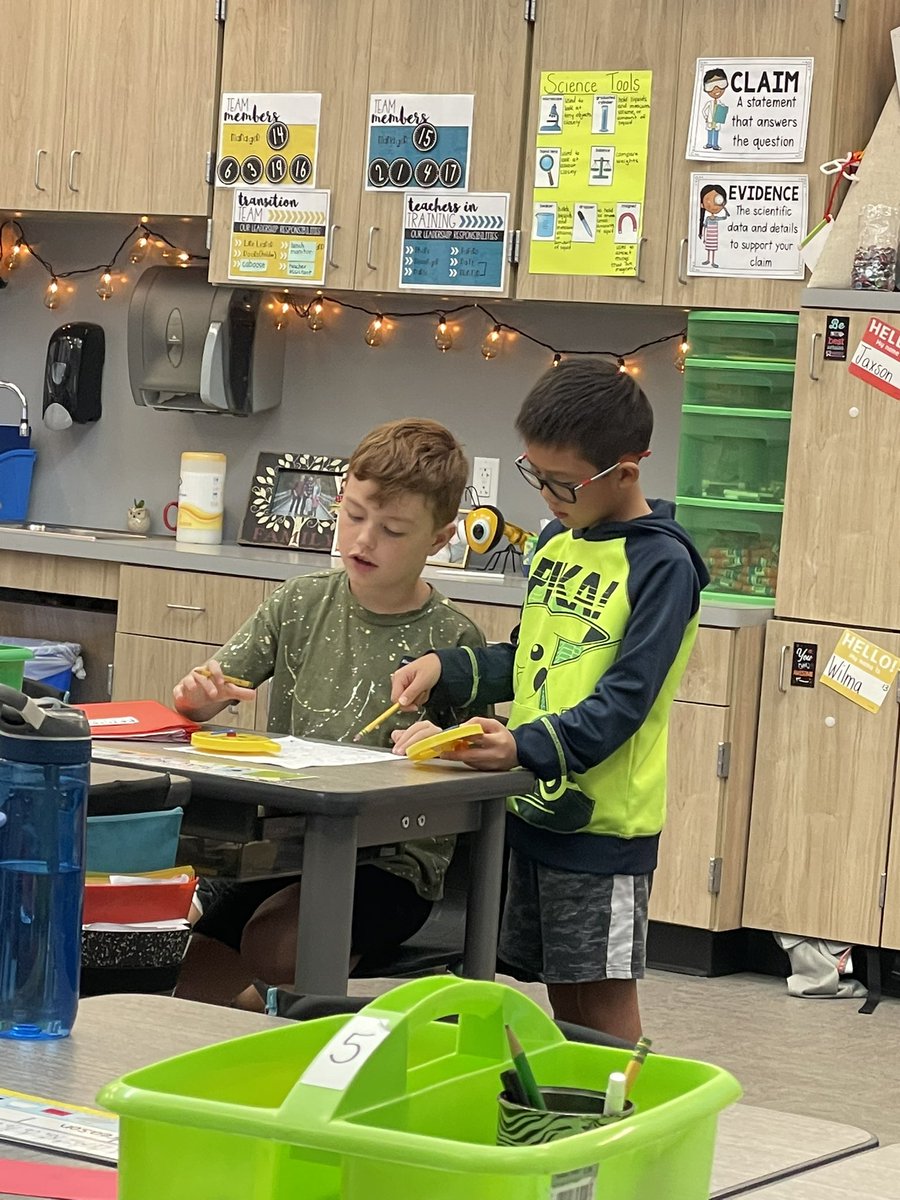 Elizabeth Adams tweet media