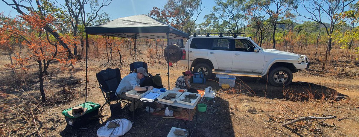jcu's tweet photo. 🪵☀️As global temps rise, Australia’s termites are likely to expand their territory south and increase their role in wood decay, according to research by @mirko_karan @AWCheesman @jamie_cleverly @LucasCernusak and @AmyZanne. #letsrot #globalrot
📄👉https://t.co/R9ioyPSU96 https://t.co/BOhItslQ0d