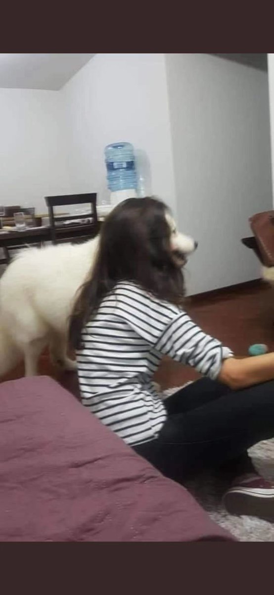 MaryLg1994's tweet photo. Look at this picture carefully
#funny #picture #pet #Dog https://t.co/39alaKxMHH