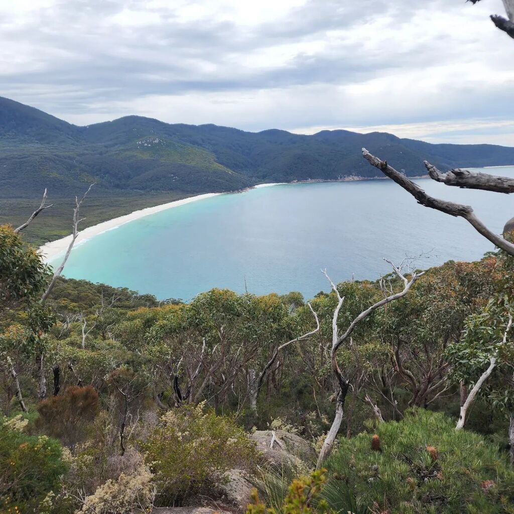 thomasacmurrell's tweet photo. Magnificent five day #solohike #wilsonsprom.
Stunning sea scapes, wildflowers and forests.
.
.
.
.
#hiking #trekking #fitness #solotrek #trekkinglife #hikinglife #instagood #forestbathing #speakerlife #thomasmurrell #8mmedia #professionalspeaker #keynote… https://t.co/xUGEwhiH9p https://t.co/aFJKuZJAzE