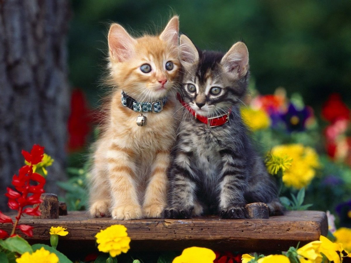 Артём Уткин on Twitter: \" 🌍 🌴РАБОТА. НАШИ ВОЗМОЖНОСТИ: 🌍 🌴 🎪 Для жизни ...