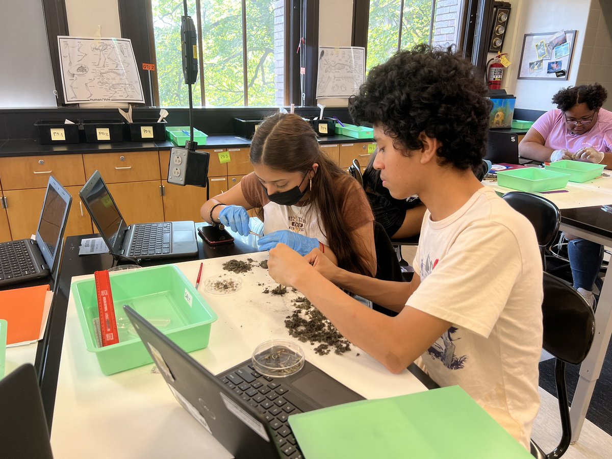 MrArsenie's tweet photo. Dissecting owl pellets to explore food webs and introduce energy and nutrient cycles in my @CarlSchurzHS #dpbio classes! Was surprised to learn this was the first time working with pellets for many of my students! https://t.co/SnhpdiP4IX