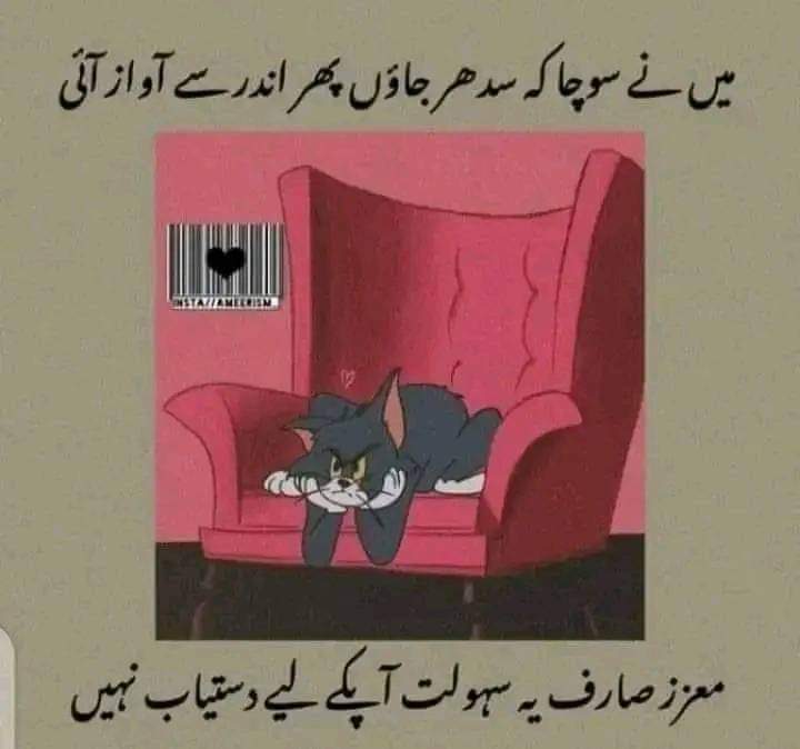Muhamma58474757's tweet photo. #Memes https://t.co/sgEPFr8ZPZ
