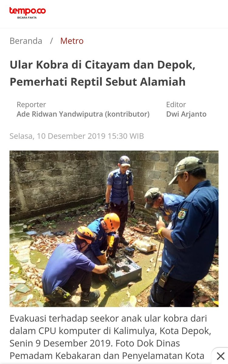 adelmacho's tweet photo. @examorhca betul banget ril no fek https://t.co/ErIQOIy5PZ