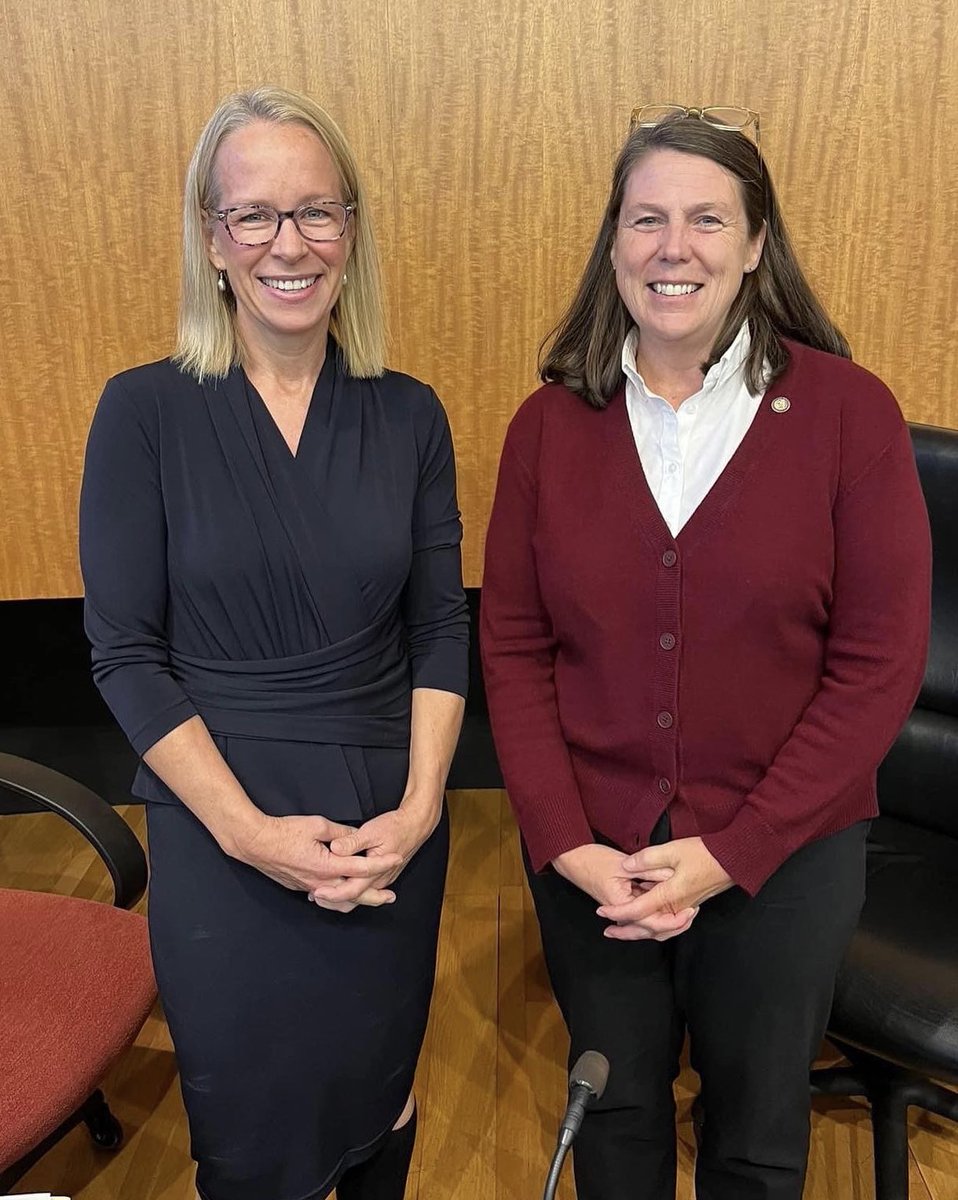 Morrison4MN's tweet photo. Huge turnout for the @lwvwpa candidate forum for #SD45 & #HD45B! Thanks to LWV & Wayzata Chamber & all who came to support democracy &hear our positions on a range of issues! Disappointed our opponents declined to participate. Proud to be running alongside @PattyAcomb ! https://t.co/6TZuE56LWf