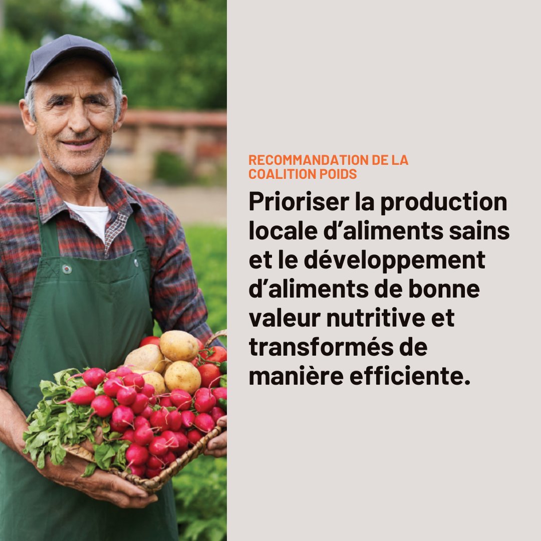 Cette semaine, découvrez nos six recommandations pour mieux nourrir le Québec.

Le gouvernement du Québec doit favoriser l’autonomie alimentaire saine et durable.

Pour en savoir plus 👉 bit.ly/3BOhpVI