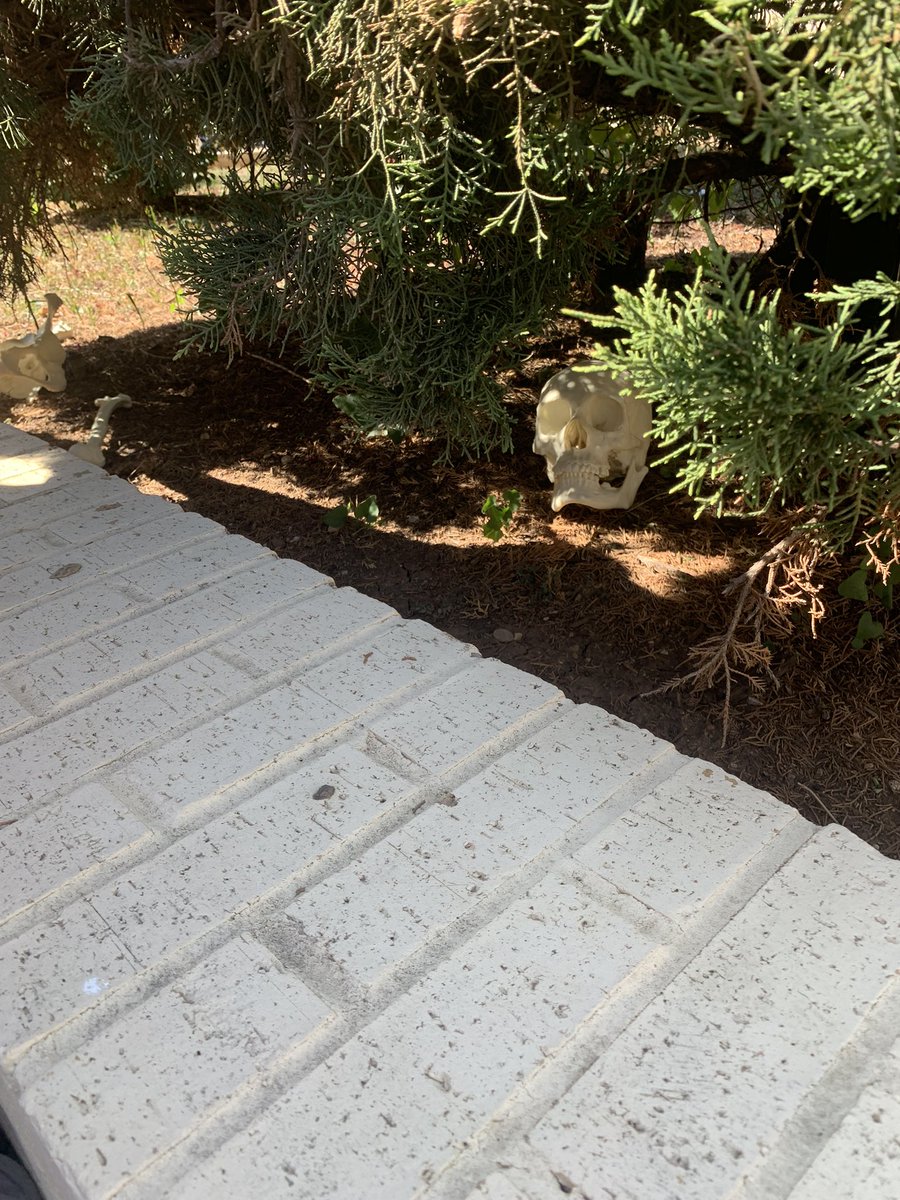 When you need pictures of your fake remains for your fictional police report, you take advantage of the local scenery!  Just call us forensic anthropologist and photographers now! #wearegraham <a href="/PLTWorg/">Project Lead The Way</a>