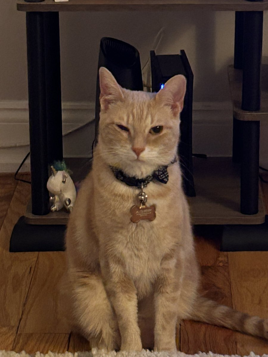 mrhenryboy's tweet photo. helo frends! just an update i m an pirate now rrrreereer….j k i hav harpes 🙀 got it at th ee sheleter pray for hanry and i will get frou dis https://t.co/4AnB5adXud