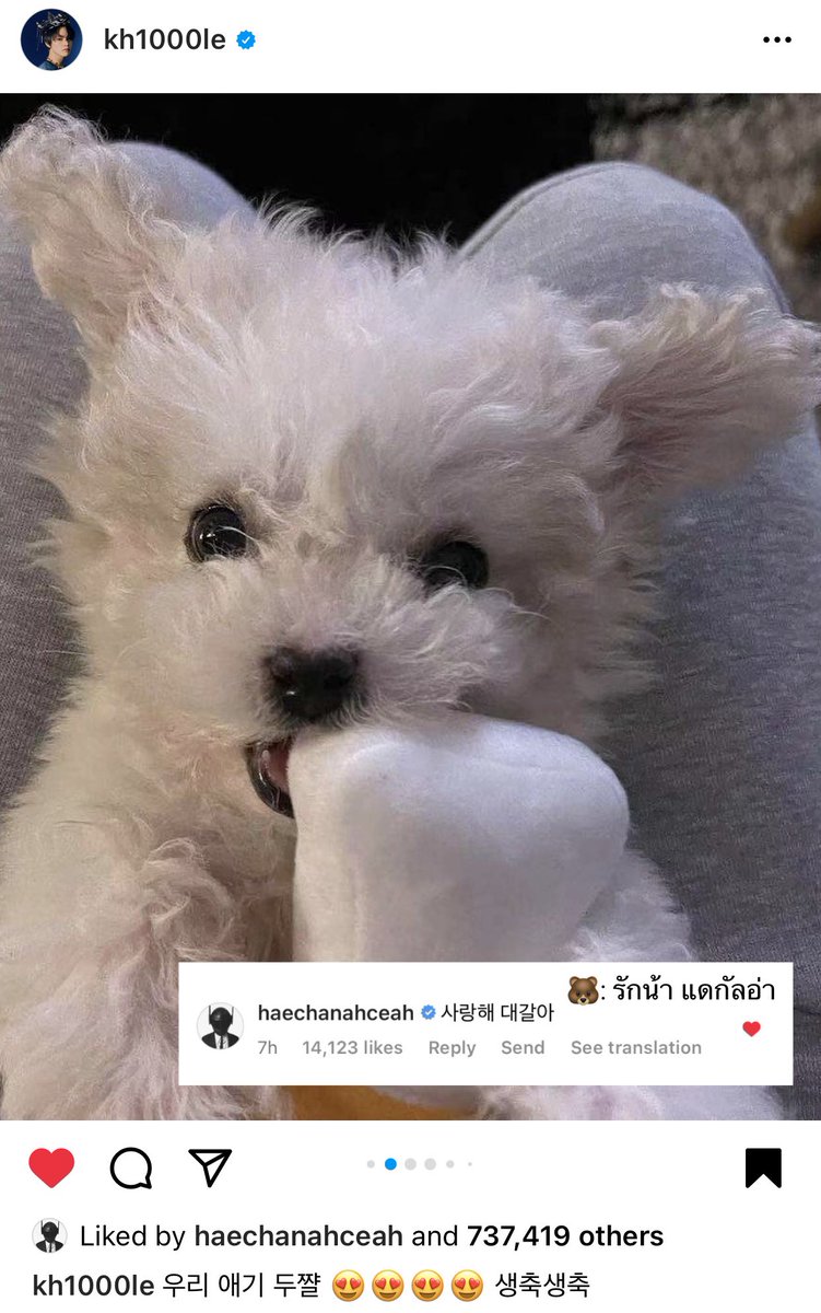 AM; 𝘰𝘯 𝘩𝘪𝘢𝘵𝘶𝘴 tweet media