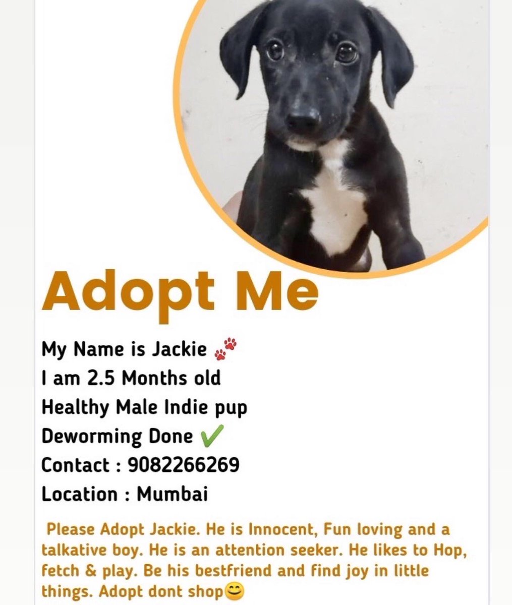 pfaindia's tweet photo. ADOPTION APPEAL πΎβ€οΈ
Please spread this message and help them get adopted so that they can receive the love and care they deserve β₯οΈπΆ
π: Mumbai
βοΈ: 9619627849
#peopleforanimals #animallovers #adopt #adoptdontshop #adoptme #compssion #love #home https://t.co/dQhsY4Qmnj