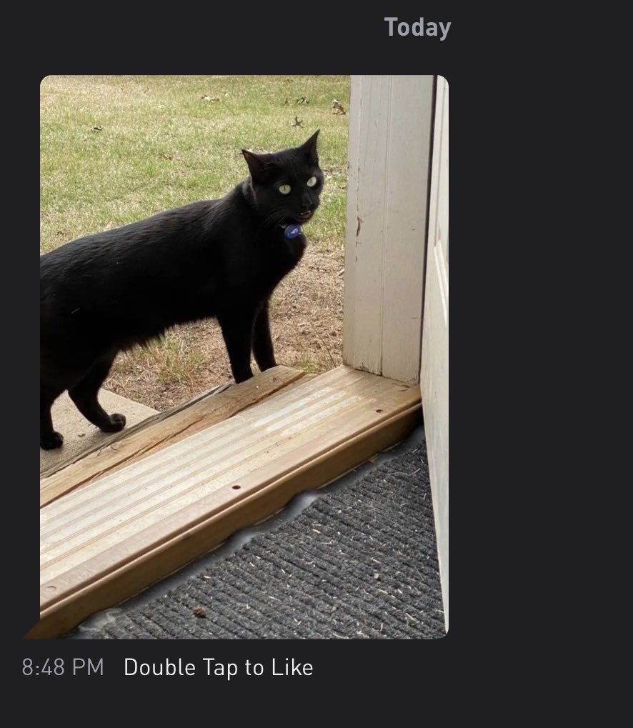 CatsofGrindr's tweet photo. https://t.co/S0HzFMA8C0