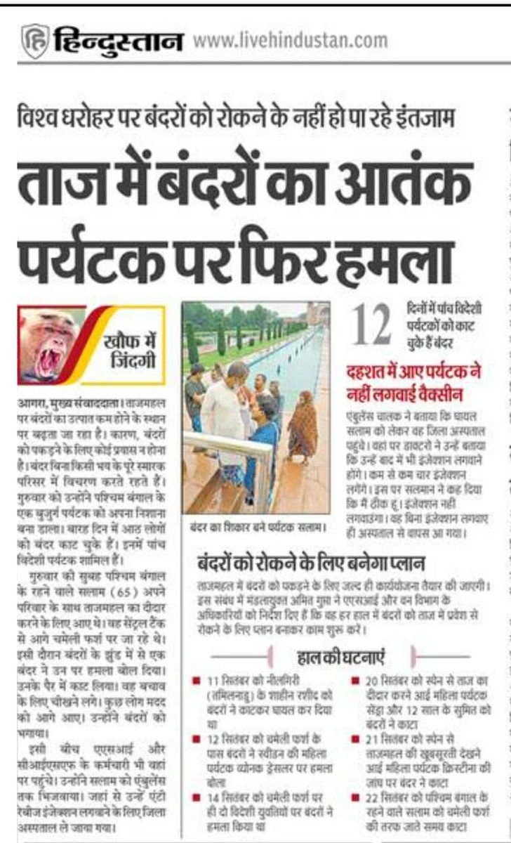 sanjay_705's tweet photo. It's a matter of great concern among the tourists that the concerned authorities are not able to solve this serious issue of monkeys attacking the tourists in Taj Mahal. What's The Solution To This Problem.
@myogiadityanath 
@PMOIndia 
@jaiveersingh099 
@kishanreddybjp https://t.co/MaEilH7R4U