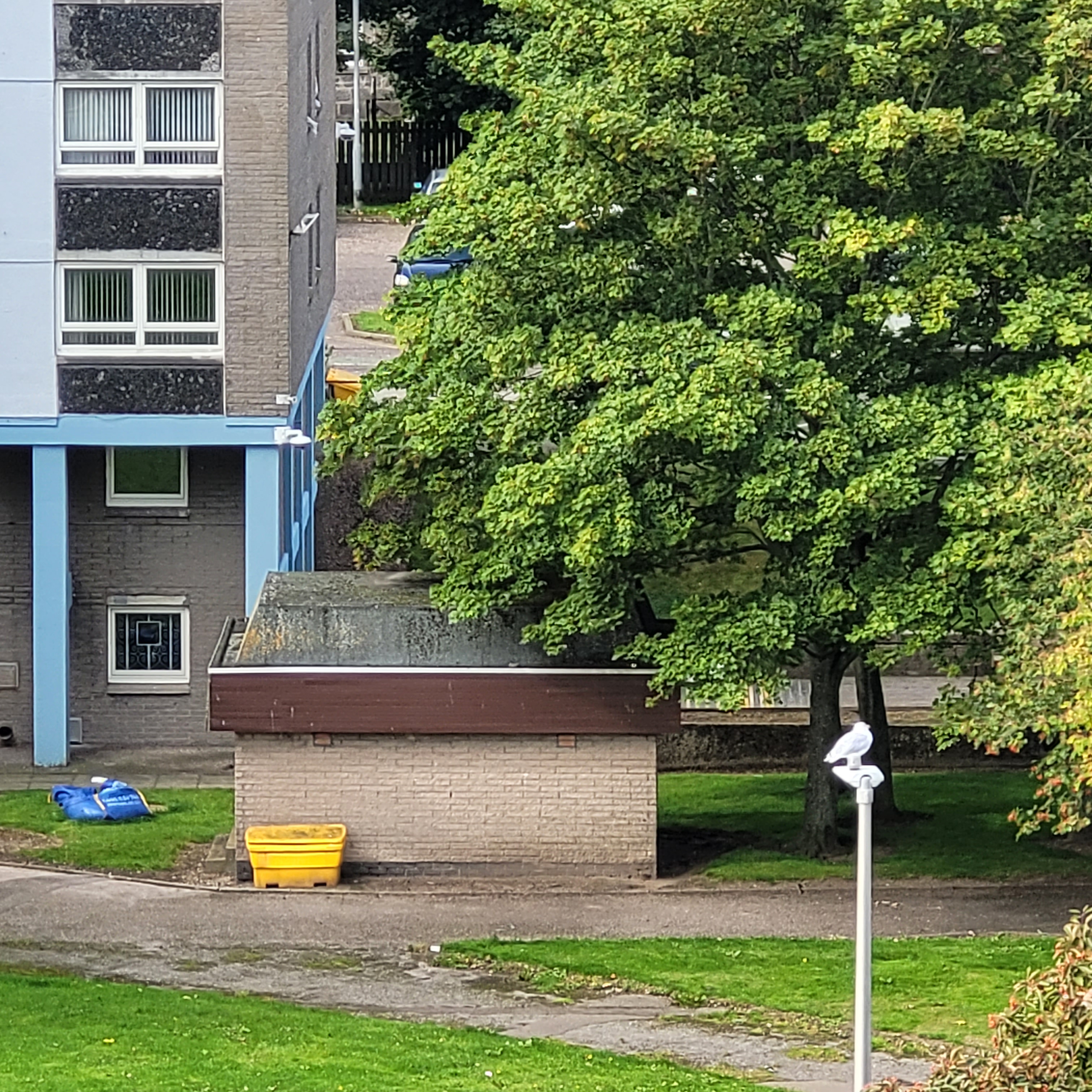 Seaton House Ladies (LadiesSeaton) / Twitter