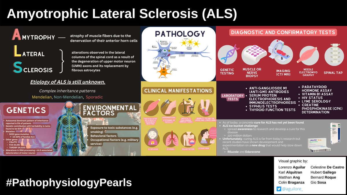 edgarvlermamd's tweet photo. Check out the the Visual Graphics created by @USTScience students for our elective class on Pathophysiology (1 of 2)

Topic: Disorders of the Nervous System

#PathophysiologyPearls https://t.co/RAzKIg296J